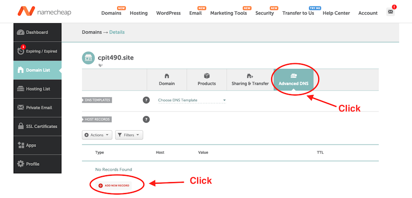 NameCheap DNS Records